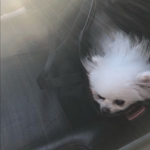 Meet your Posher, Chun